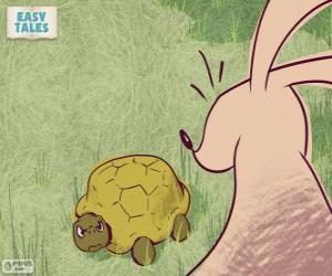 The tortoise challenged the hare to a race puzzle