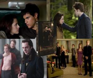 The Twilight Saga: New Moon puzzle