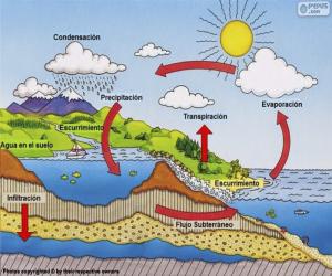 The water cycle (es) puzzle