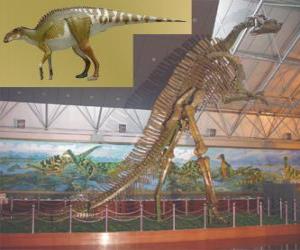 The Zhuchengosaurus is one of the largest known hadrosaurids puzzle