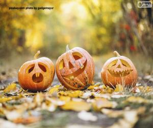 Three gourds on the leaves puzzle