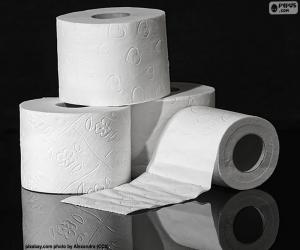 Toilet paper puzzle