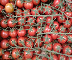 Tomato in branch puzzle