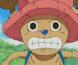 Tony Tony Chopper is a medical expert who is transformed into an anthropomorphic creature puzzle