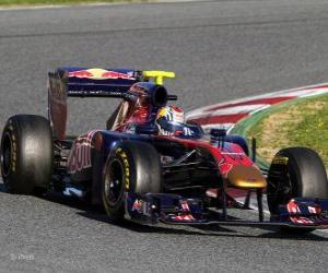 Toro Rosso STR6 - 2011 - puzzle