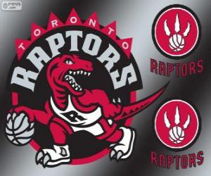 Toronto Raptors logo, NBA team. Atlantic Division, Eastern Conference puzzle