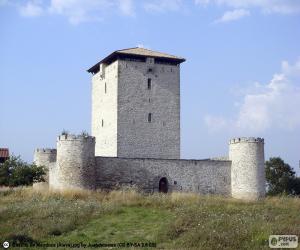 Tower of Mendoza, Spain puzzle