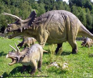 Triceratops puzzle