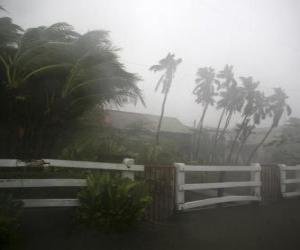 Tropical storm puzzle