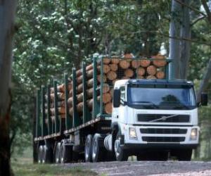 Truck transport of logs puzzle