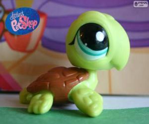 Turtle from the Littlest PetShop puzzle