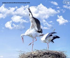 Two Storks in the Nest puzzle