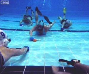 Underwater hockey puzzle