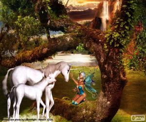 Unicorns and fairy puzzle