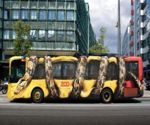 Urban Bus, Copenhagen puzzle