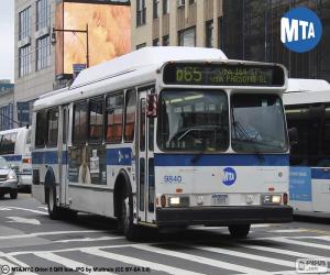 Urban buses of New York City puzzle