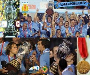 Uruguay Champion Copa America 2011 puzzle