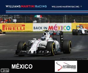 V. Bottas 2015 Mexican Grand Prix puzzle