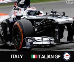Valtteri Bottas - Williams - Monza, 2013 puzzle
