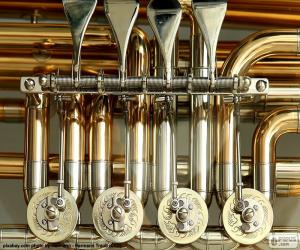 Valves of a tuba puzzle