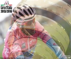 Vincenzo Nibali, 2016 Giro of Italy puzzle