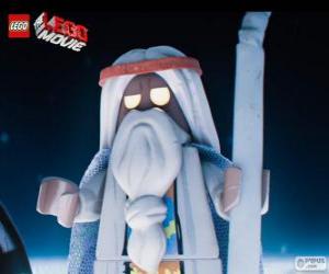 Vitruvius, the old sorcerer of the film, the great Lego adventure puzzle