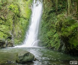 Waterfall and moss puzzle