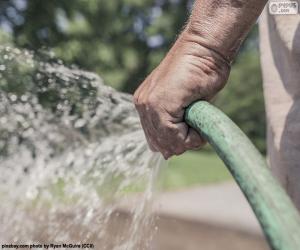 Watering with hose puzzle