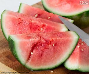 Watermelon puzzle