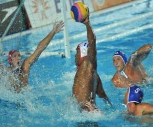 Waterpolo - Player prepared to finish in front of the goalkeeper puzzle