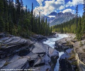 Whitewater river puzzle