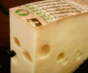 Whole piece opened of cheese type gruyer or emmentaler puzzle