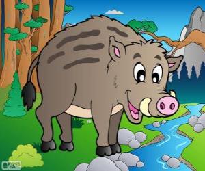 Wild boar puzzle