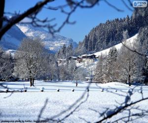 Winter landscape puzzle