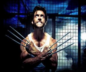 Wolverine is a mutant superhero and one of the X-Men ant the New Avengers puzzle