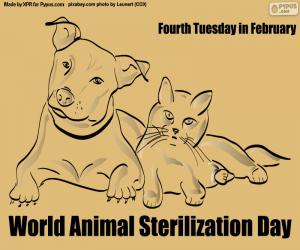 World Animal Sterilization Day puzzle