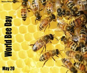 World Bee Day puzzle