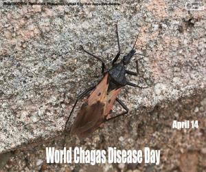 World Chagas Disease Day puzzle