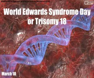 World Edwards Syndrome Day or Trisomy 18 puzzle