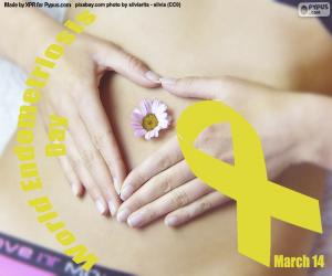 World Endometriosis Day puzzle
