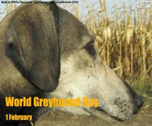 World Greyhound Day puzzle