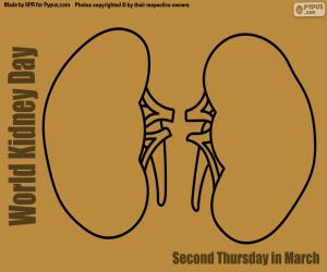 World Kidney Day puzzle