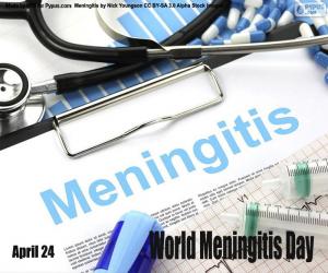 World Meningitis Day puzzle