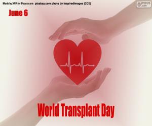 World Transplant Day puzzle