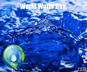 World Water Day puzzle