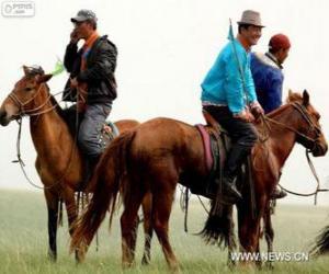 Xilingol horse originating in Mongolia puzzle