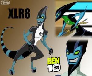 XLR8, Ben 10 puzzle