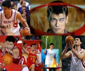 Yao Ming retires from professional basketball (2011) puzzle