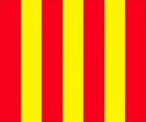Yellow flag with red stripes to warn drvers that the track is slippery puzzle