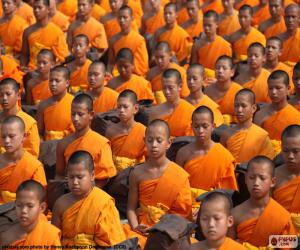 Young Buddhist monks puzzle